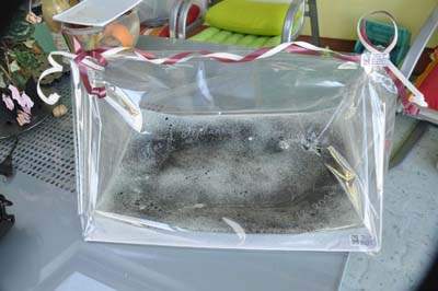 Cadeaux personnalisés Mulhouse